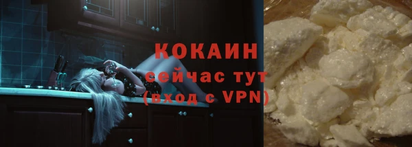 прущие крисы Новозыбков