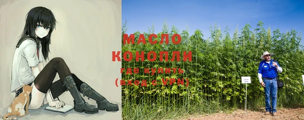 мяу мяу кристалл Няндома