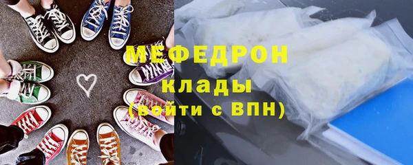 прущие грибы Ельня