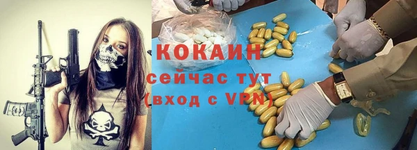 мяу мяу кристалл Няндома
