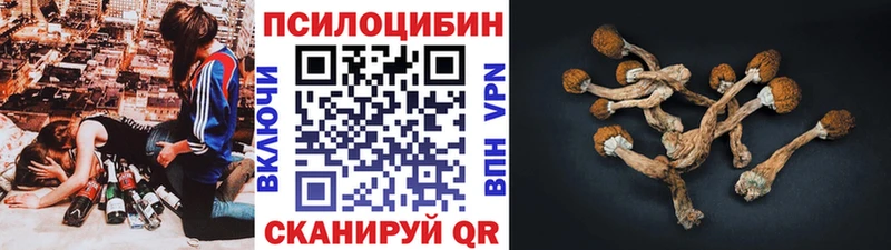 купить  сайты  Макушино  Галлюциногенные грибы Psilocybine cubensis 